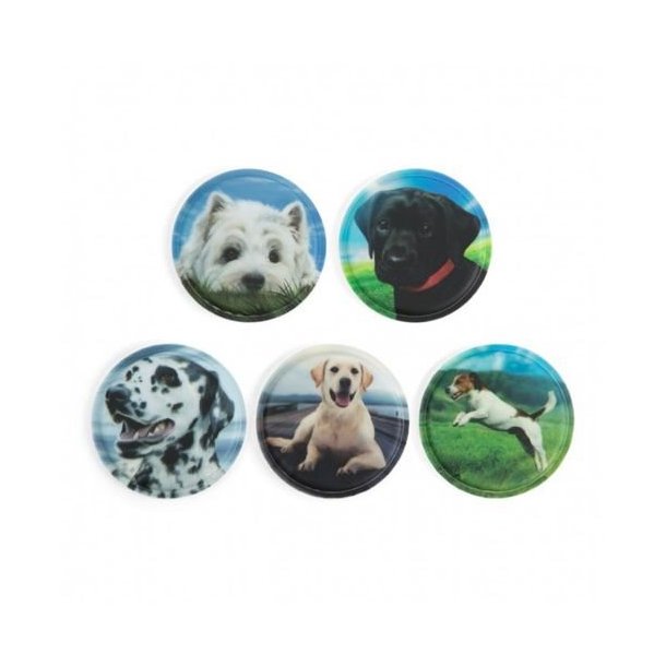 Ergobag Klettie-Set - Dogs