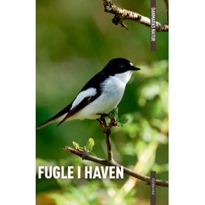 Danmarks natur - Fugle i haven