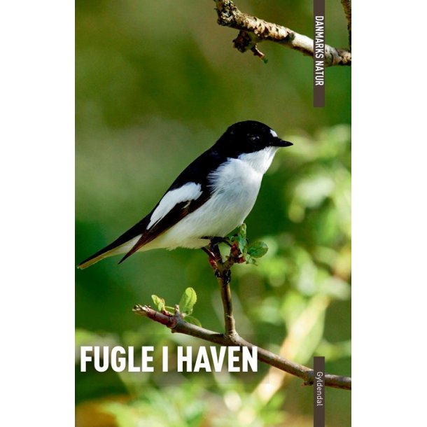 Danmarks natur - Fugle i haven