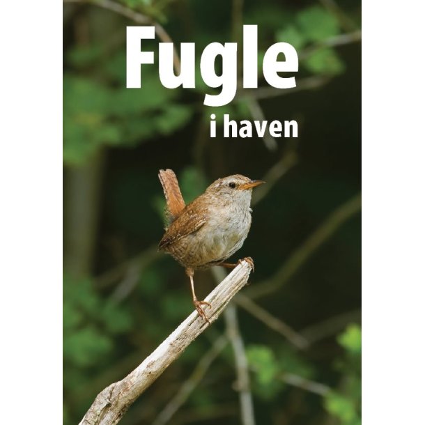 Fugle i haven af Lars Serritslev