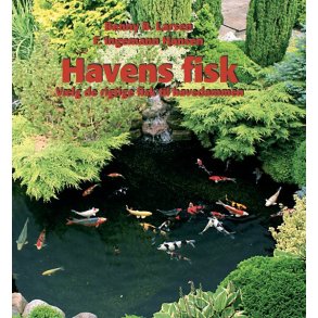 Havens fisk af Benny B. Larsen