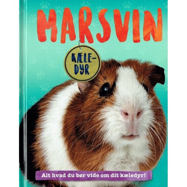 Marsvin - K�ledyr af Pat Jacobs