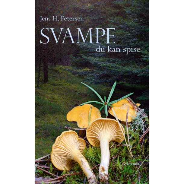 Svampe du kan spise af Jens H. Petersen