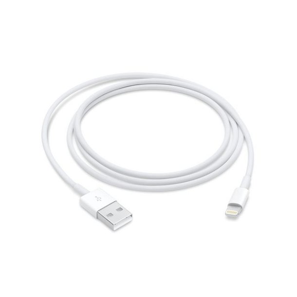Apple Lightning to USB Cable, White (0.5M)