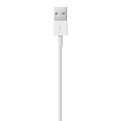 Apple Lightning to USB Cable, White (0.5M)