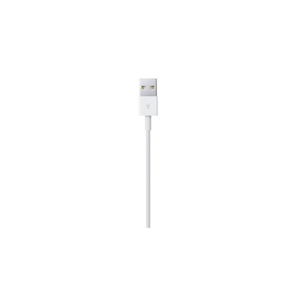 Apple Lightning to USB Cable, White (0.5M)