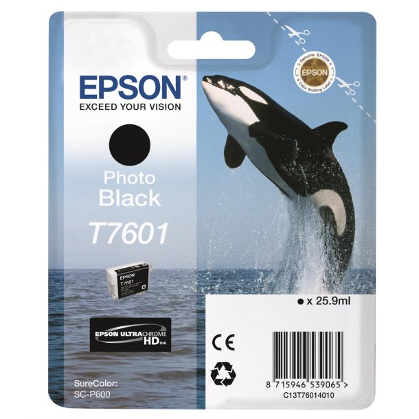 T76014010 Photo Black Ink Cartridge