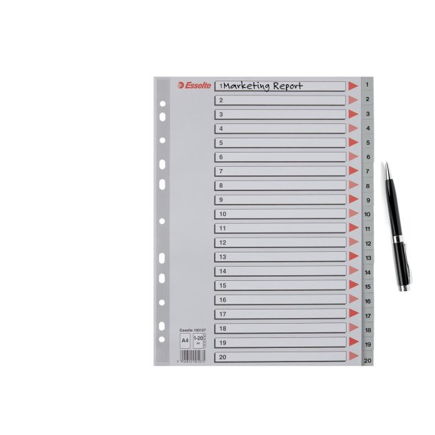 Register PP A4 1-20 gr