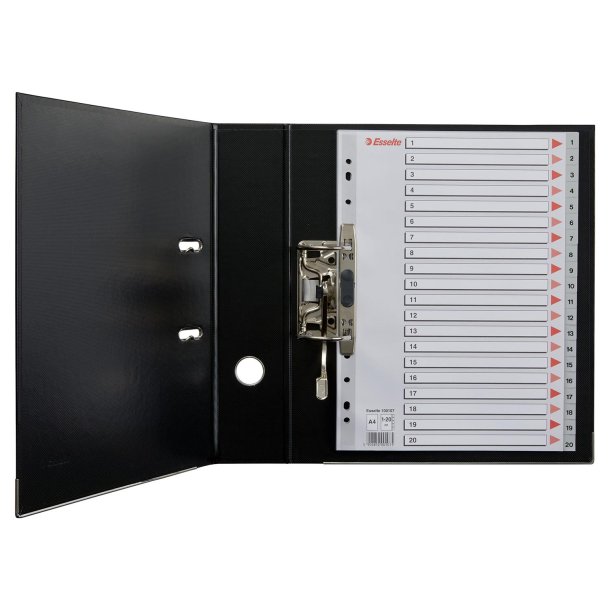 Register PP A4 1-20 gr