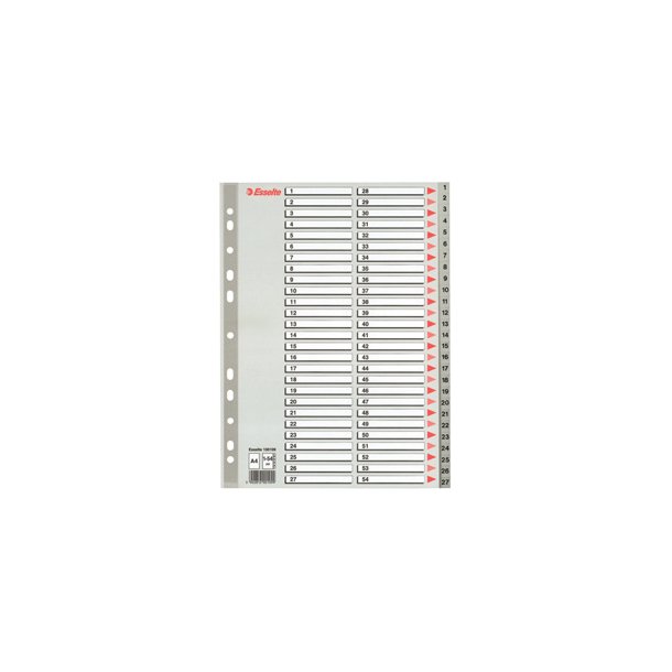 Register PP A4 1-54 gr