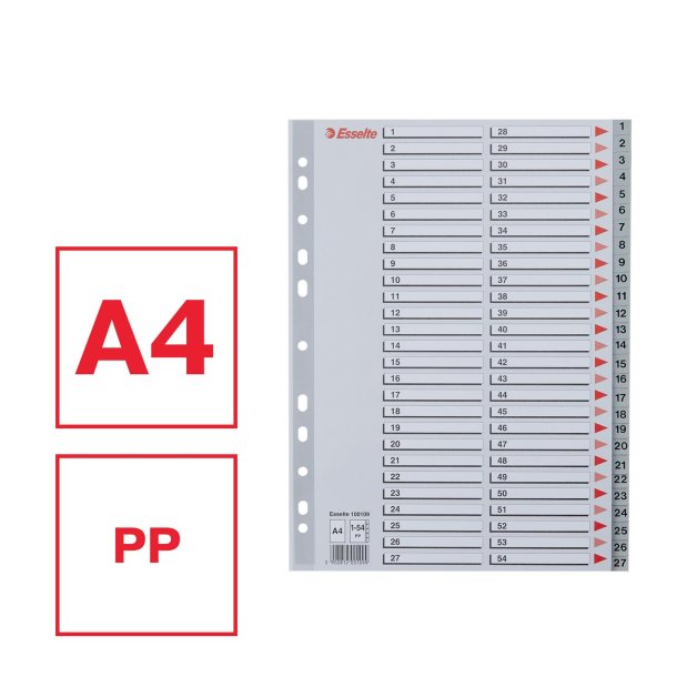 Register PP A4 1-54 gr