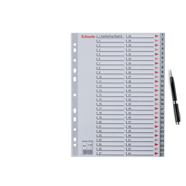 Register PP A4 1-54 gr