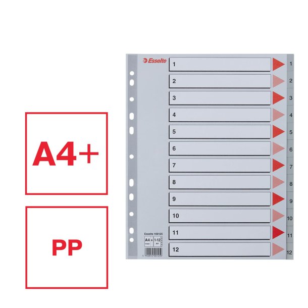 Register PP A4 maxi 1-12 gr