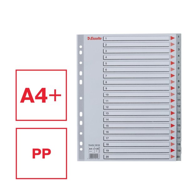 Register PP A4 maxi 1-20 gr
