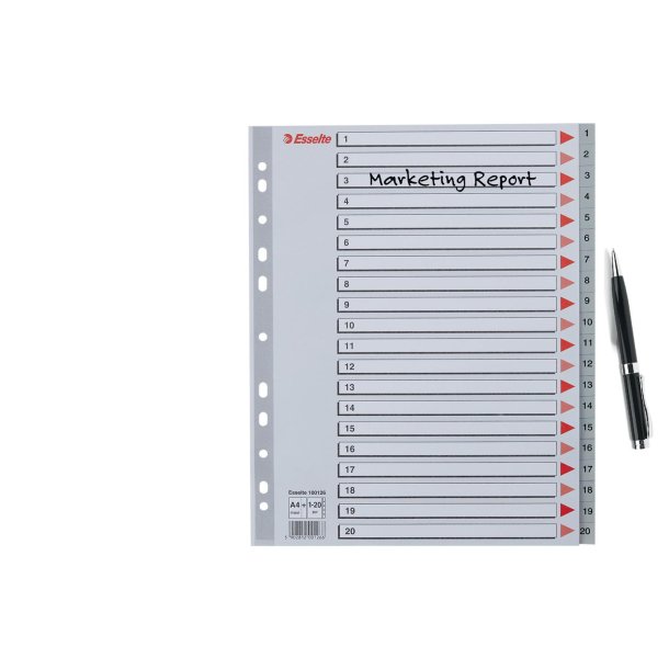 Register PP A4 maxi 1-20 gr