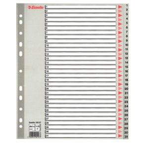 Register PP A4 maxi 1-31 gr