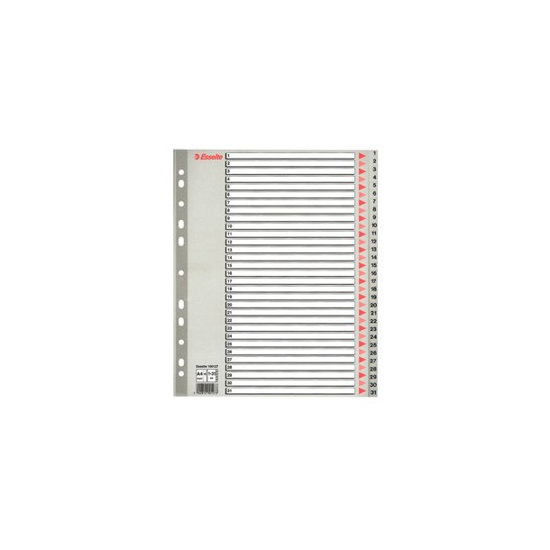 Register PP A4 maxi 1-31 gr