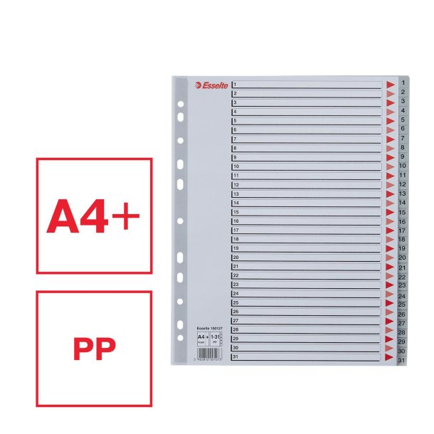 Register PP A4 maxi 1-31 gr