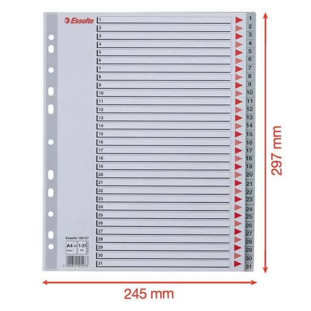 Register PP A4 maxi 1-31 gr