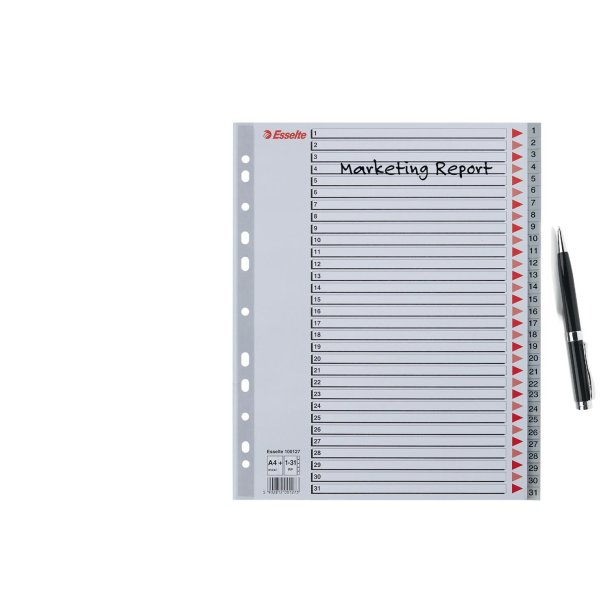 Register PP A4 maxi 1-31 gr