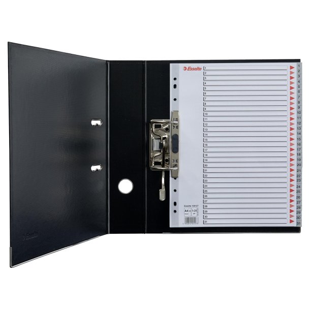 Register PP A4 maxi 1-31 gr