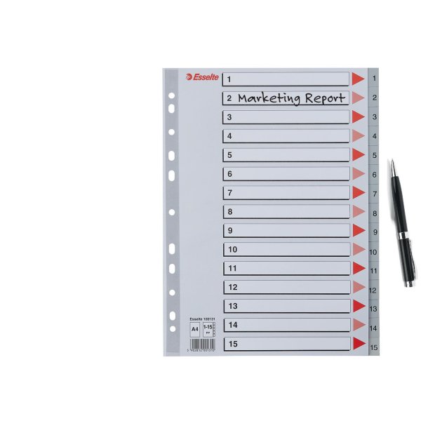 Register PP A4 1-15 gr