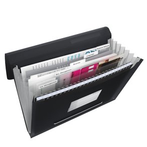 Projektmappe Vivida PP A4 sort