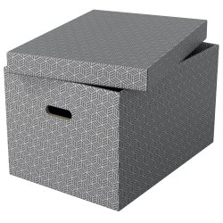 Opbevaringsboks Esselte Home L gr� (3)