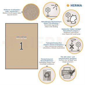 Herma etiket Silphie 210x297 kraftpapir (20)