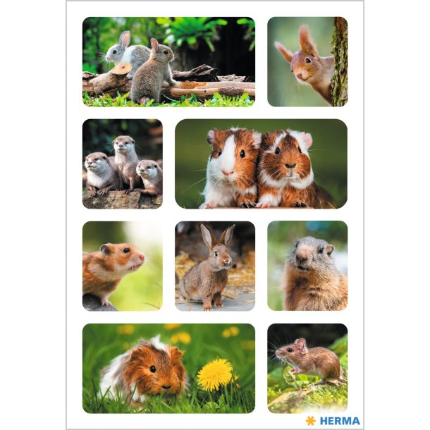 Herma stickers Decor skovens dyr (3)