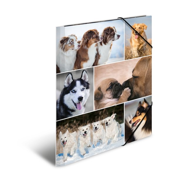 Herma elastikmappe pap A4 hund