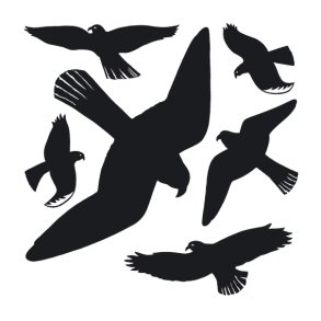 Herma stickers Home advarselsfugl sort (6)