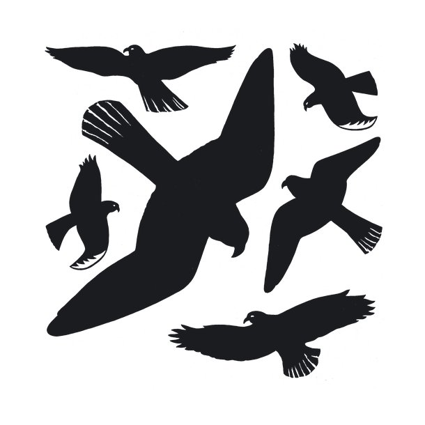 Herma stickers Home advarselsfugl sort (6)