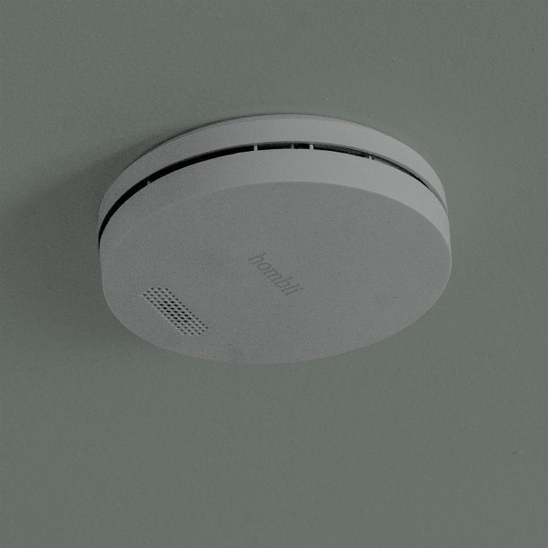 Smart Smoke Detector, Grey