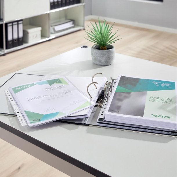 Kataloglomme 170my PVC pr�get A4 T� (10)