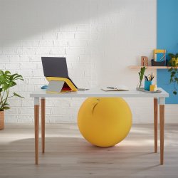 Balancebold Ergo Cosy gul