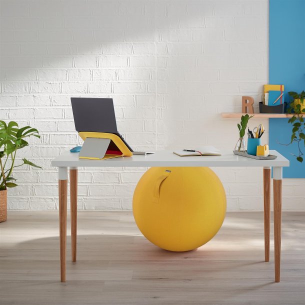 Balancebold Ergo Cosy gul