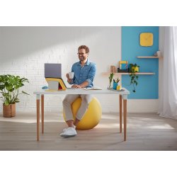 Balancebold Ergo Cosy gul