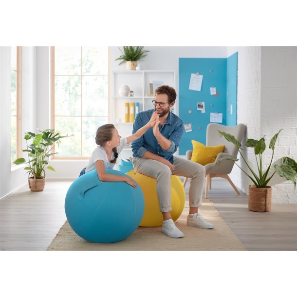 Balancebold Ergo Cosy gul