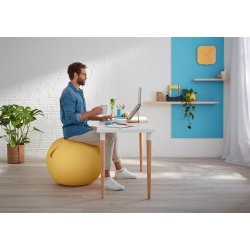 Balancebold Ergo Cosy gul