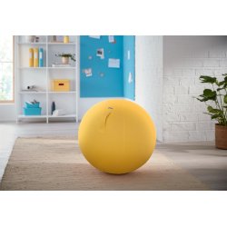 Balancebold Ergo Cosy gul