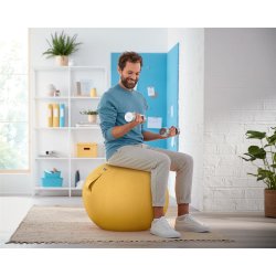Balancebold Ergo Cosy gul