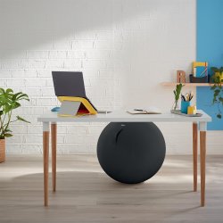 Balancebold Ergo Cosy gr