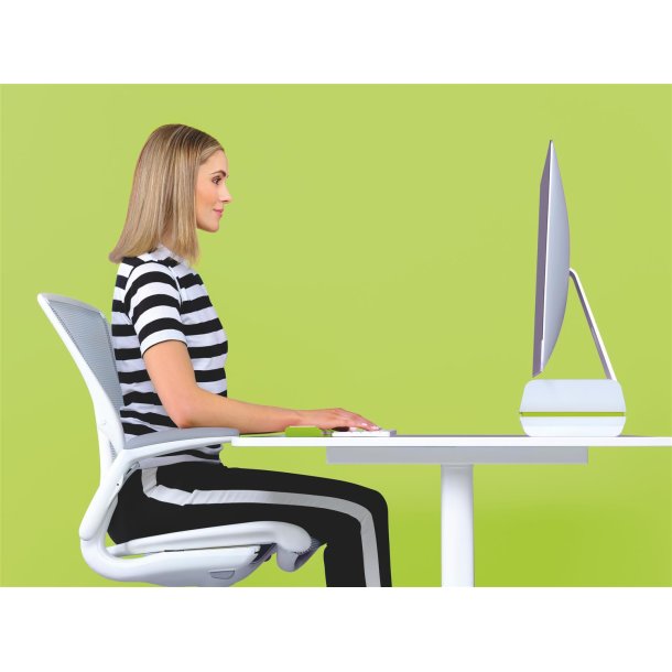 Monitor stand Ergo Leitz WOW grn