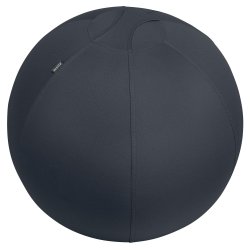 Sitting Ball Ergo 65cm.Anti-Roll-Away, Dark Grey