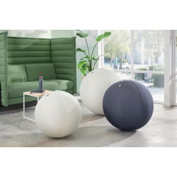 Sitting Ball Ergo 75cm.Anti-Roll-Away, Dark Grey