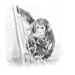 Blyant Mars Lumograph HB