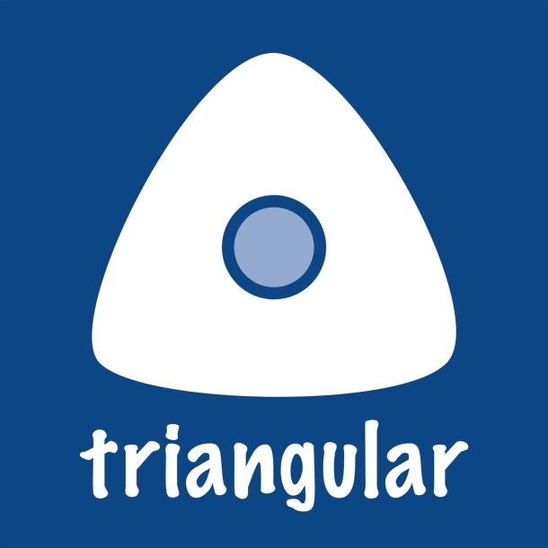 Farveblyant Noris Upcycled Wood trekantet (12)