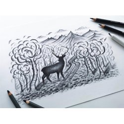 Blyant til sketching kul mixed st (12)