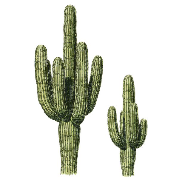 Farveblyant Tombow Irojiten cactus green